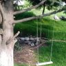 Profilbild von MICHEL victoria