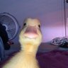Profilbild von Srbomb
