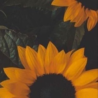 Chicabisexual5's profile picture