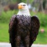 BerTuso profil fotoğrafı