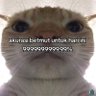 Profilbild von Donald Riteli