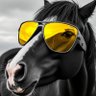 Luma5 profil fotoğrafı