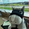 るるら's profile picture