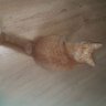 Kudakto's profile picture