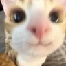 M's profile picture