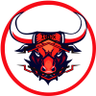 100X Crypto Gems's profile picture