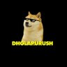 Dholapurush's profile picture