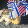 JS 🇺🇸🇮🇱🧡 的头像