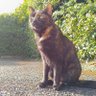 Milly's profile picture