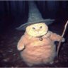 MagicCat profil fotoğrafı