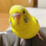 みちゃ 的头像