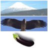 はー2's profile picture