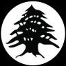 Profilbild von المتشائل/ opssimist