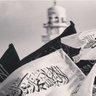 طالب مزهر's profile picture