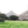 بدرالعتيبي 的头像