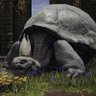 Fleece definitely has a plan's profile picture