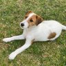 JJ Chise's profile picture