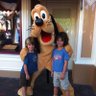 ari sternshein's profile picture