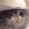 Profilbild von pardner