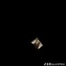 longdimo84 的头像