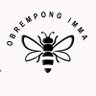 Profilbild von Obrempong Imma