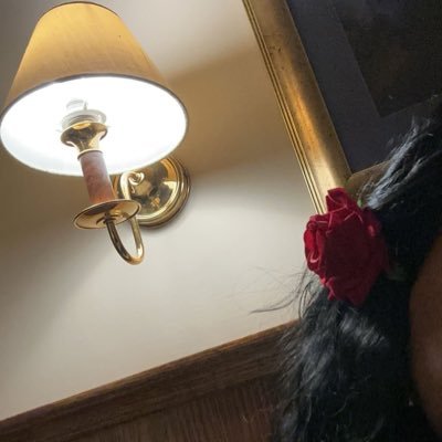 Norhan_amman's profile picture