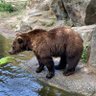 Prawy_prawdziwek profil fotoğrafı