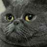 Berk's profile picture
