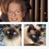 🌸 Pénélope 💕💙 PEPSIE's profile picture