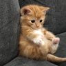 💚5kRichGucci💚 profil fotoğrafı