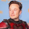 Фото профиля Elon Musk (Parody)