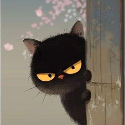 LolycpaC's profile picture