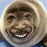 robert (capybara fan account) 的头像