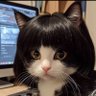 Morgan Worth's profile picture