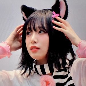 jigumipoca's profile picture