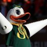 Фото профиля Donald Duck