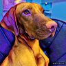 Profilbild von JamieJames