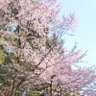 mitakona profil fotoğrafı