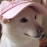 Profilbild von Tsai mark