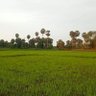 Фото профиля திருவாளர் பொது ஜனம்