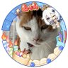 竜也🐱甲乙乙乙丙乙ちょっと頑張った 的头像