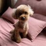 菅谷裕子's profile picture