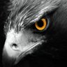 Der Schlaue's profile picture
