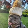 Фото профиля Mugsy