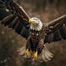 Фото профиля #AMAN KUMAR#*