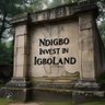 Profilbild von I love Biafra