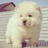 카르페디엠's profile picture