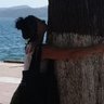 haticepaker's profile picture