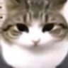 leonador0863's profile picture