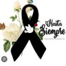 valle de jiboa.'s profile picture